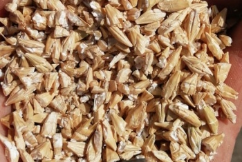Копия Преимущества плющеного зерна перед дроблёным